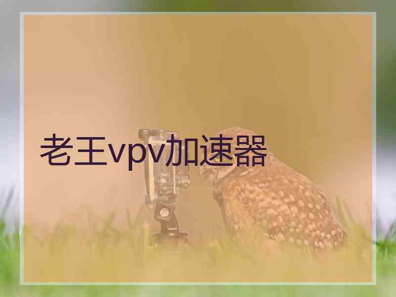 老王vpv加速器