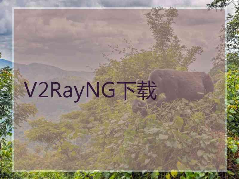 V2RayNG下载