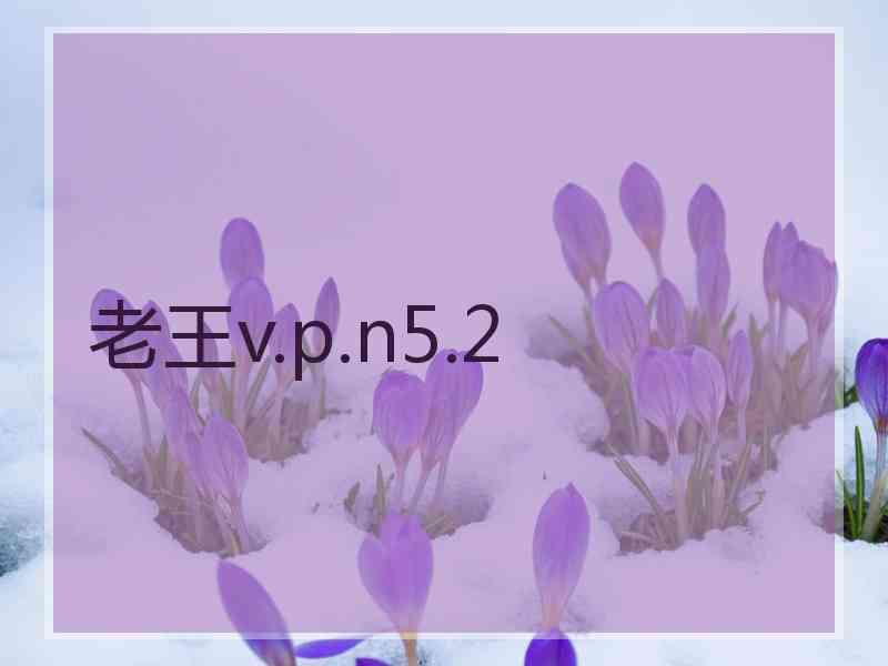 老王v.p.n5.2