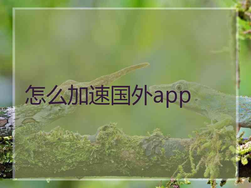 怎么加速国外app