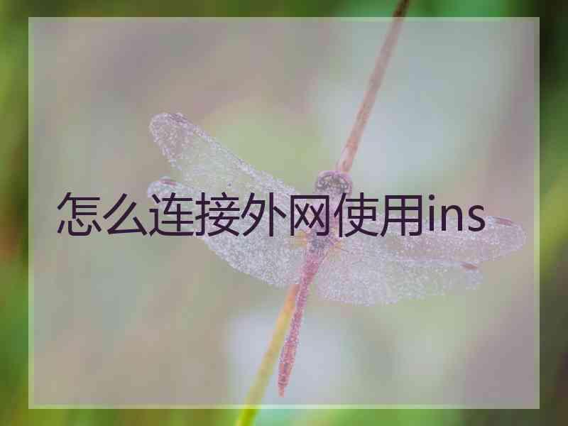 怎么连接外网使用ins