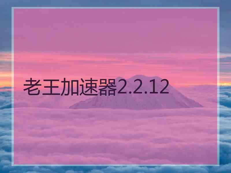 老王加速器2.2.12