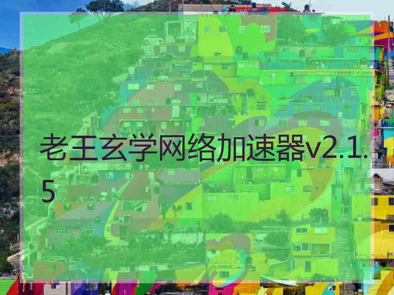 老王玄学网络加速器v2.1.5