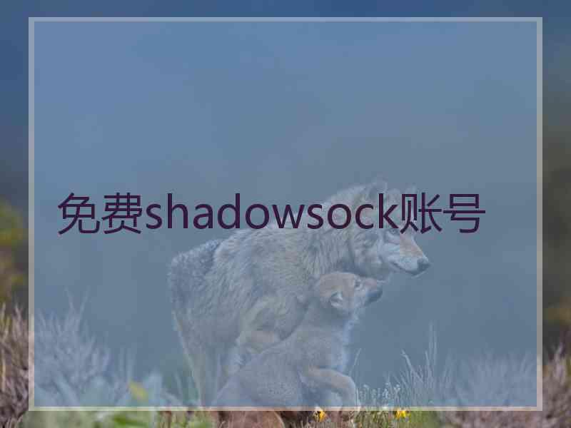 免费shadowsock账号