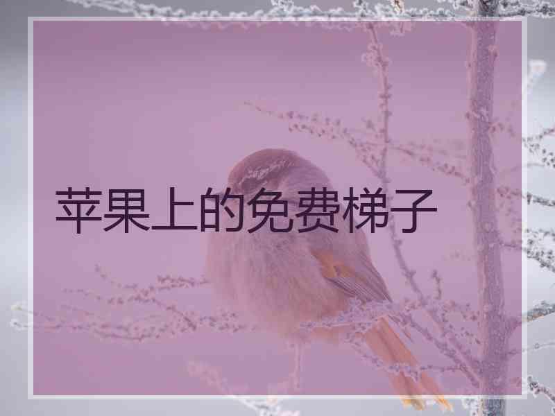 苹果上的免费梯子