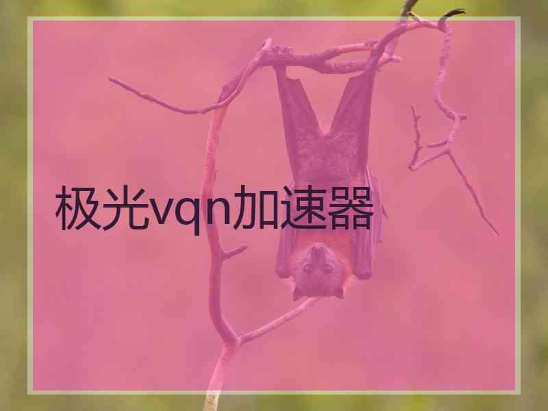 极光vqn加速器