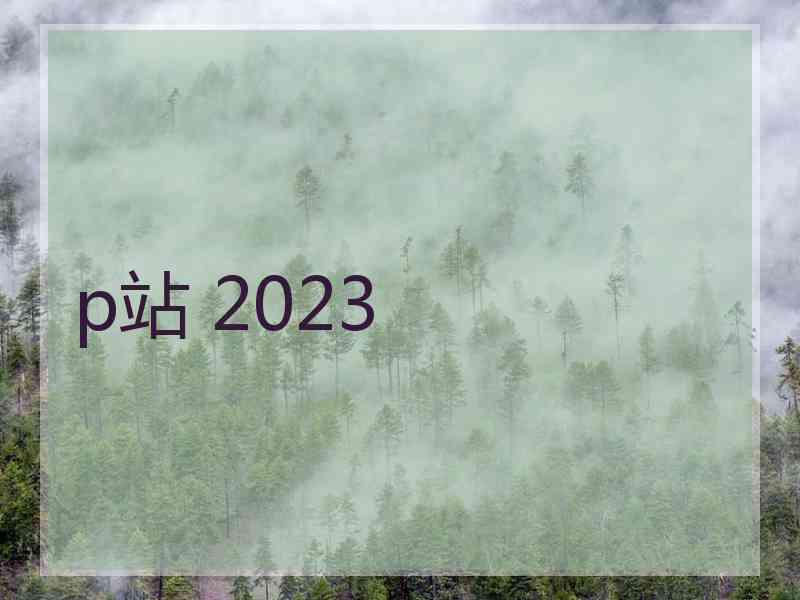 p站 2023