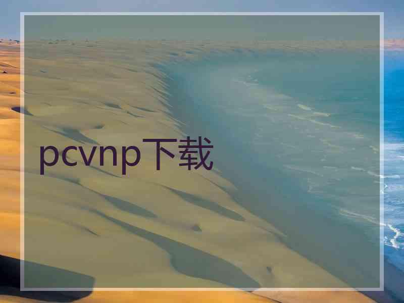 pcvnp下载