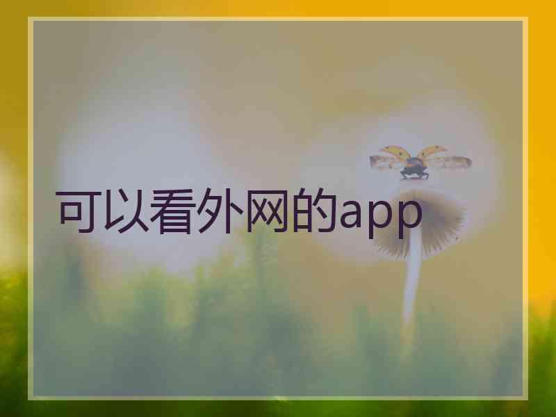 可以看外网的app