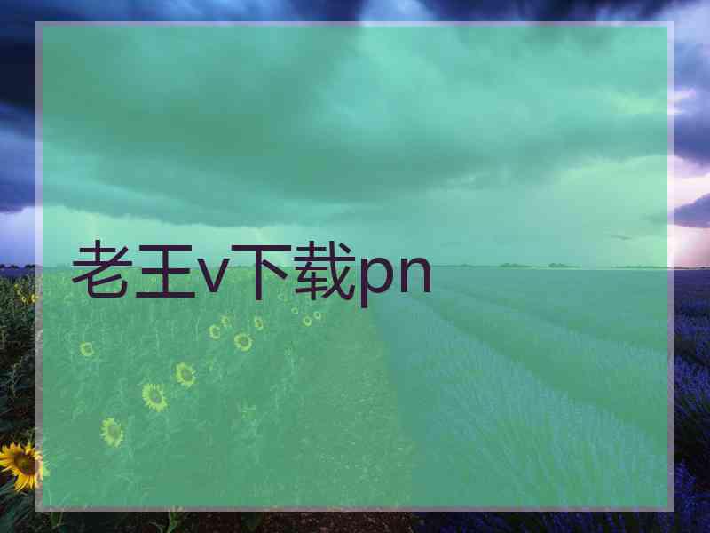 老王v下载pn