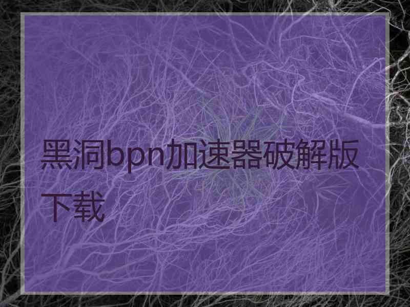 黑洞bpn加速器破解版下载