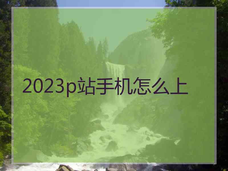 2023p站手机怎么上