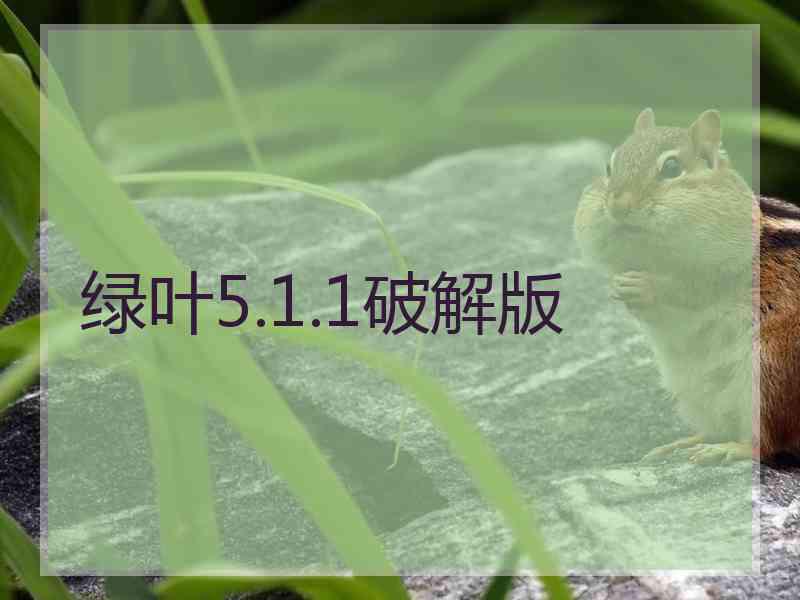 绿叶5.1.1破解版