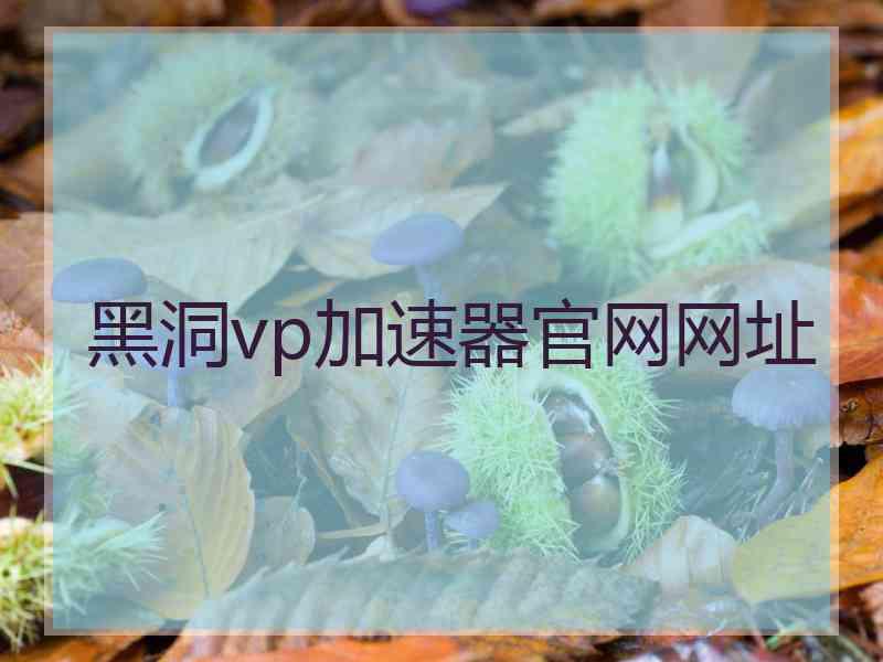 黑洞vp加速器官网网址