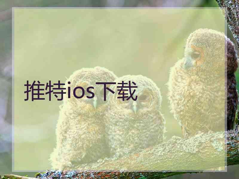 推特ios下载