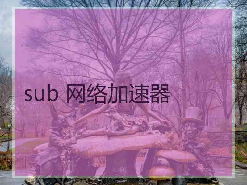 sub 网络加速器