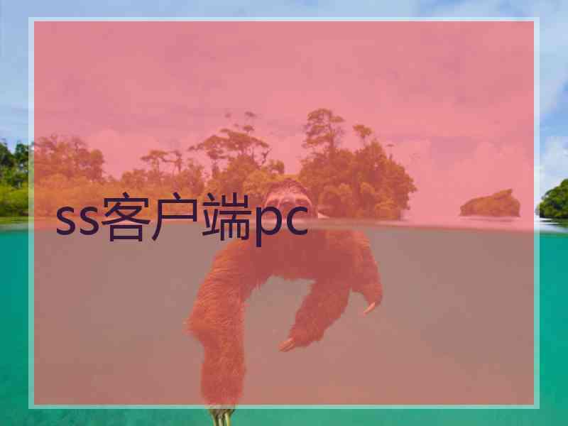 ss客户端pc